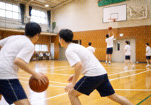 체육관 활동